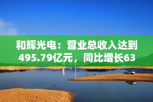 和辉光电：营业总收入达到495.79亿元，同比增长63.17%