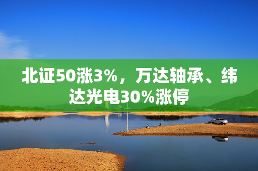 北证50涨3%，万达轴承、纬达光电30%涨停