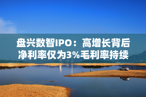 盘兴数智IPO：高增长背后净利率仅为3%毛利率持续下滑 省内市场份额仅为1.3%研发费用率不足1%