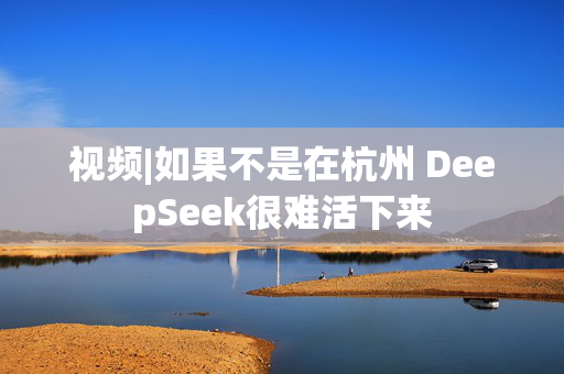 视频|如果不是在杭州 DeepSeek很难活下来