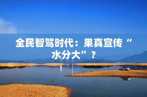 全民智驾时代：果真宣传“水分大”？