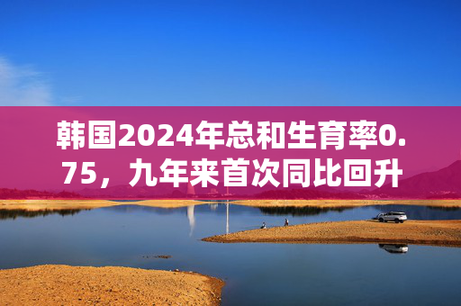 韩国2024年总和生育率0.75，九年来首次同比回升