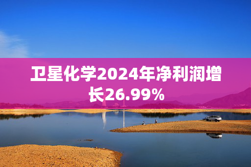 卫星化学2024年净利润增长26.99%