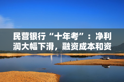 民营银行“十年考”：净利润大幅下滑，融资成本和资本充足率成最大挑战