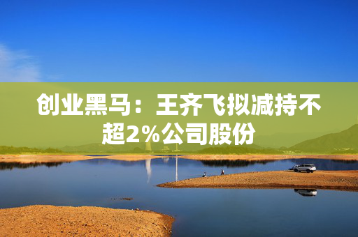 创业黑马：王齐飞拟减持不超2%公司股份