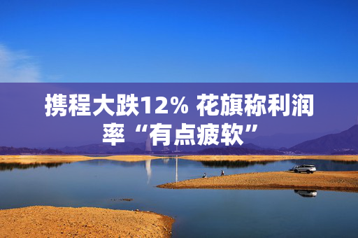 携程大跌12% 花旗称利润率“有点疲软”