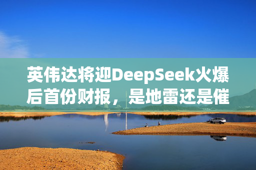 英伟达将迎DeepSeek火爆后首份财报，是地雷还是催化剂？