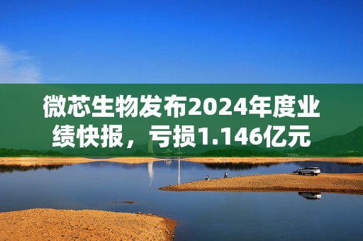 微芯生物发布2024年度业绩快报，亏损1.146亿元