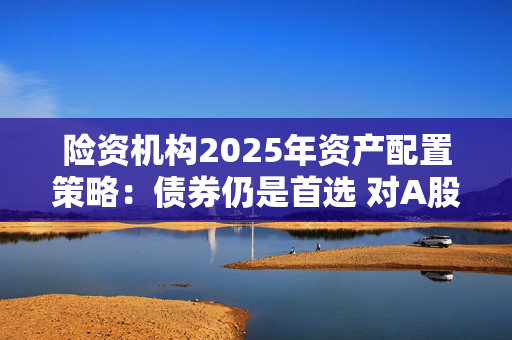 险资机构2025年资产配置策略：债券仍是首选 对A股市场持乐观态度