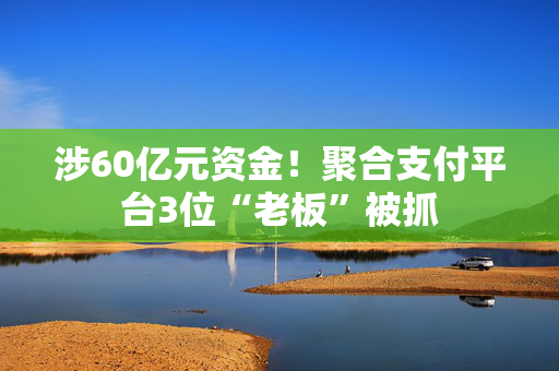 涉60亿元资金！聚合支付平台3位“老板”被抓