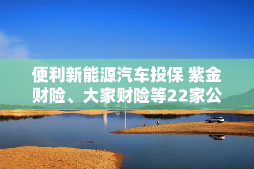 便利新能源汽车投保 紫金财险、大家财险等22家公司接入“车险好投保”平台