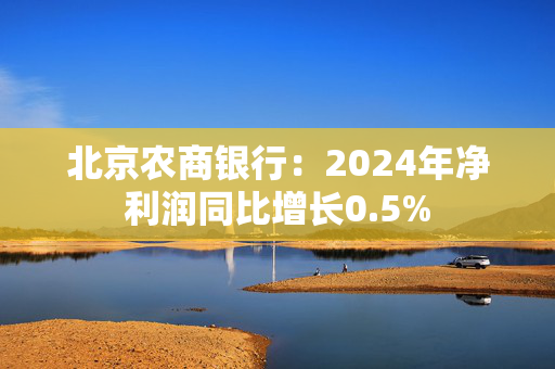 北京农商银行：2024年净利润同比增长0.5%