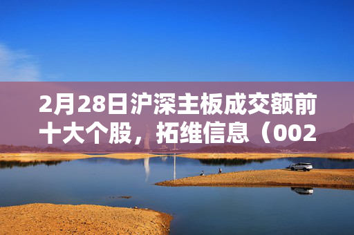 2月28日沪深主板成交额前十大个股，拓维信息（002261）居首