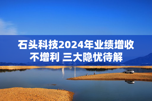 石头科技2024年业绩增收不增利 三大隐忧待解