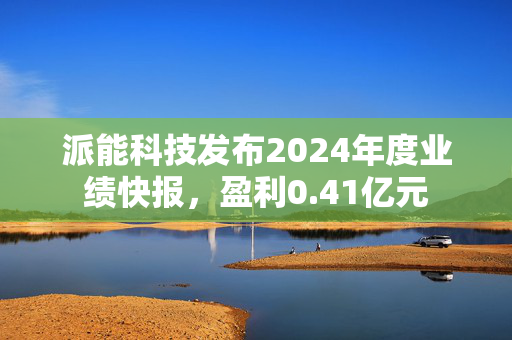 派能科技发布2024年度业绩快报，盈利0.41亿元