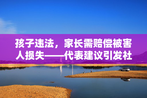 孩子违法，家长需赔偿被害人损失——代表建议引发社会关注