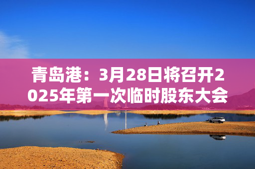 青岛港：3月28日将召开2025年第一次临时股东大会