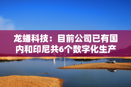 龙蟠科技：目前公司已有国内和印尼共6个数字化生产基地，总建成产能约27万吨