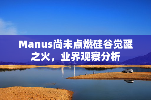 Manus尚未点燃硅谷觉醒之火，业界观察分析