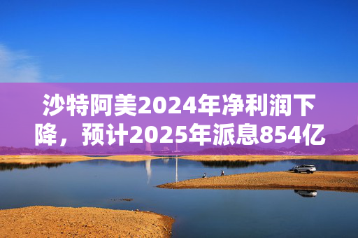 沙特阿美2024年净利润下降，预计2025年派息854亿美元