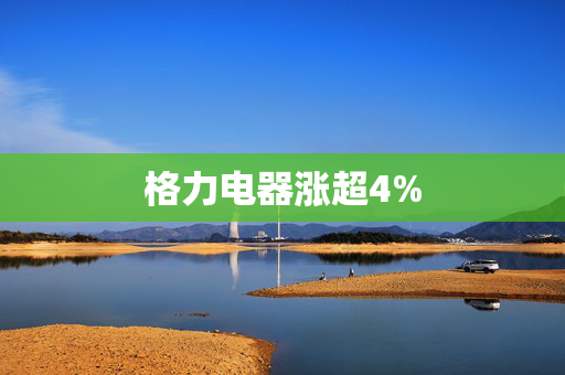 格力电器涨超4%