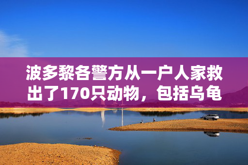 波多黎各警方从一户人家救出了170只动物，包括乌龟、驴子和狗