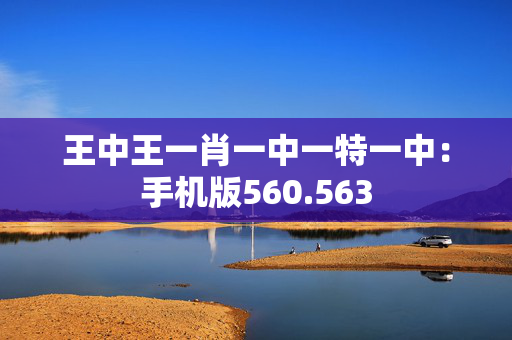 王中王一肖一中一特一中：手机版560.563