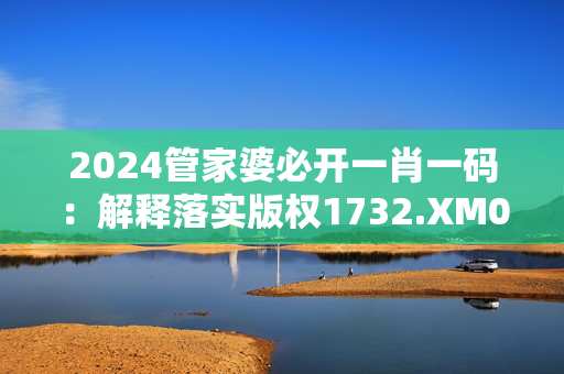 2024管家婆必开一肖一码：解释落实版权1732.XM0.85