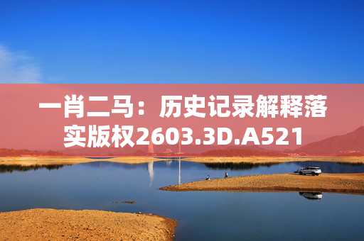 一肖二马：历史记录解释落实版权2603.3D.A521