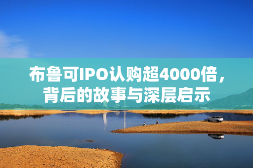 布鲁可IPO认购超4000倍，背后的故事与深层启示