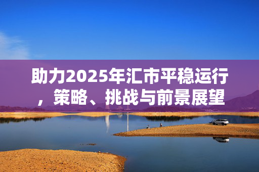 助力2025年汇市平稳运行，策略、挑战与前景展望