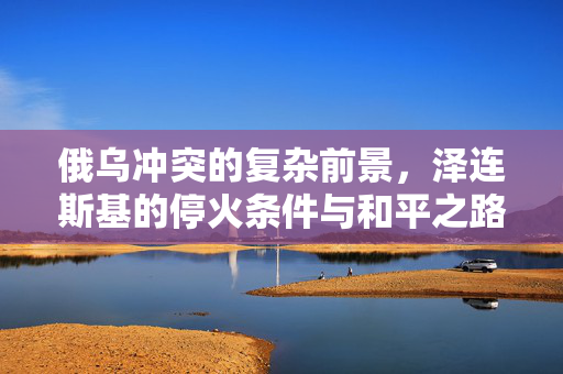 俄乌冲突的复杂前景，泽连斯基的停火条件与和平之路探索