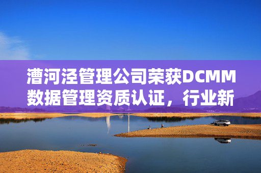 漕河泾管理公司荣获DCMM数据管理资质认证，行业新标杆诞生