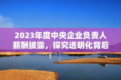 2023年度中央企业负责人薪酬披露，探究透明化背后的企业治理之道