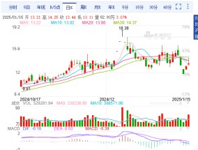 小红书概念股华扬联众被立案调查：营收断崖式下滑两年巨亏14亿 涨停背后警惕热点炒作风险