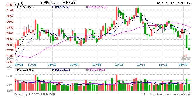 光大期货：1月16日软商品日报