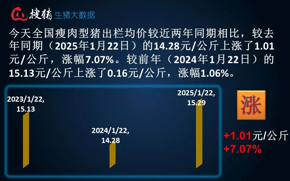 生猪现货日报|全国均价15.29元/公斤 仔猪价格持续逆势上涨 全国仔猪均价连涨三周